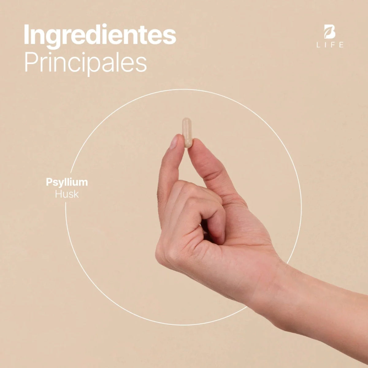 Psyllium Husk Fiber B Life | Fibra Natural 240 Cápsulas